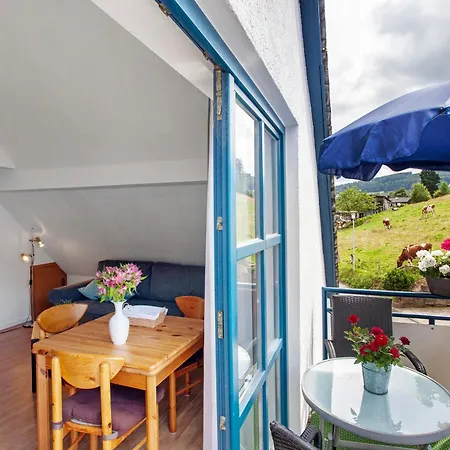 Haus Elsholz Willingen Appartamento Willingen (Upland)