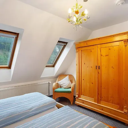 Appartamento Haus Elsholz Willingen Willingen (Upland)