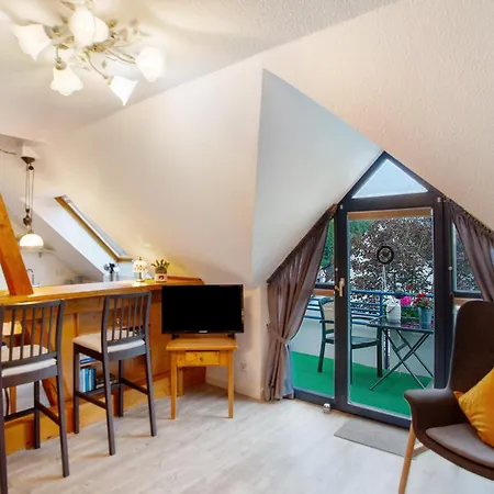 Haus Elsholz Willingen Appartamento *